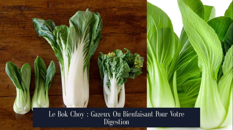 Le Bok Choy : Gazeux Ou Bienfaisant Pour Votre Digestion