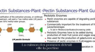 La cuisson des pommes détruit-elle la pectine