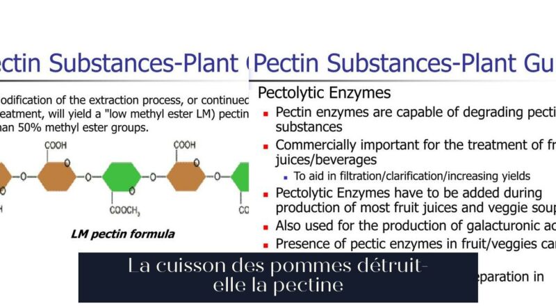 La cuisson des pommes détruit-elle la pectine