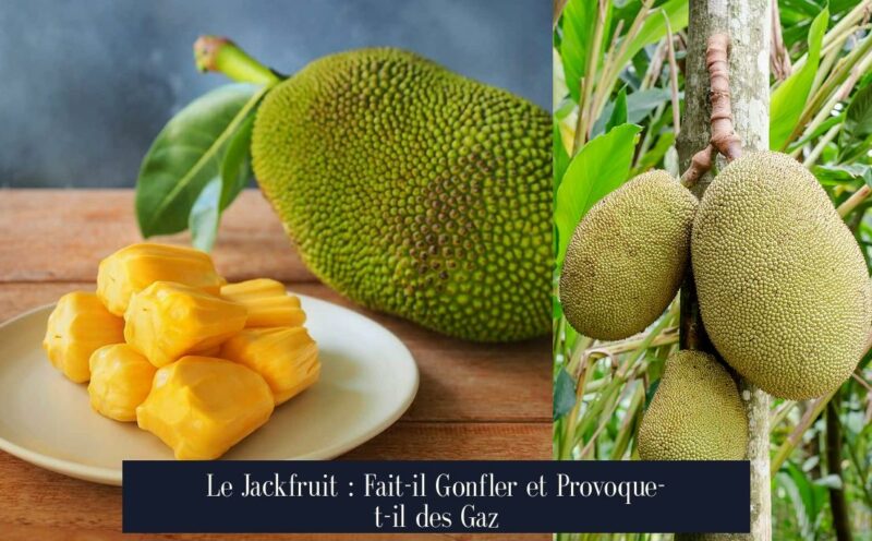 Le Jackfruit : Fait-il Gonfler et Provoque-t-il des Gaz
