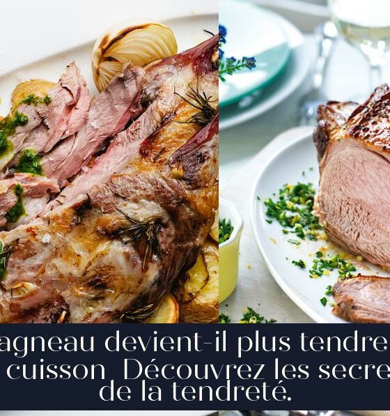 L'agneau devient-il plus tendre à la cuisson Découvrez les secrets de la tendreté.