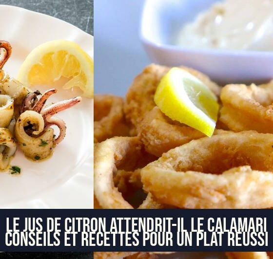 Le jus de citron attendrit-il le calamari Conseils et recettes pour un plat réussi