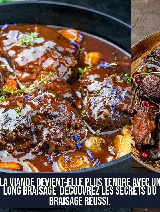 La viande devient-elle plus tendre avec un long braisage Découvrez les secrets du braisage réussi.