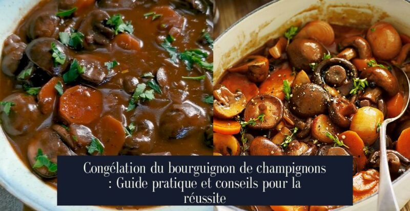Congélation du bourguignon de champignons : Guide pratique et conseils pour la réussite