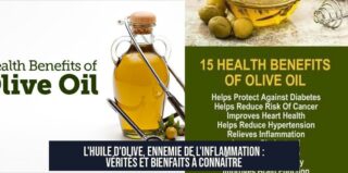 L'huile d'olive, ennemie de l'inflammation : vérités et bienfaits à connaître