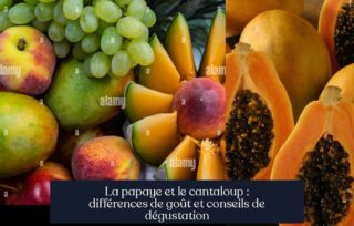 La papaye et le cantaloup : différences de goût et conseils de dégustation