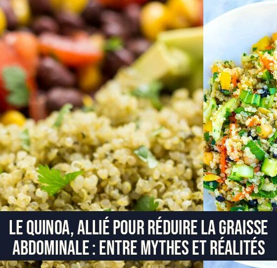 Le quinoa, allié pour réduire la graisse abdominale : entre mythes et réalités