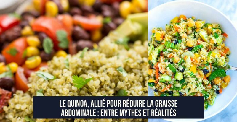 Le quinoa, allié pour réduire la graisse abdominale : entre mythes et réalités