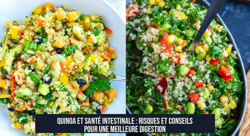 Quinoa et santé intestinale : risques et conseils pour une meilleure digestion