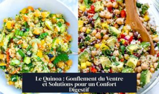 Le Quinoa : Gonflement du Ventre et Solutions pour un Confort Digestif