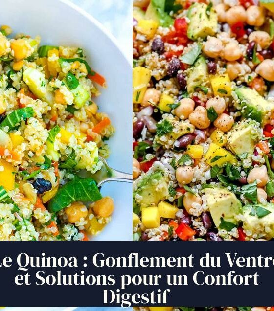 Le Quinoa : Gonflement du Ventre et Solutions pour un Confort Digestif