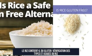 Le Riz Contient-il du Gluten Vérification des Types et Usages du Riz