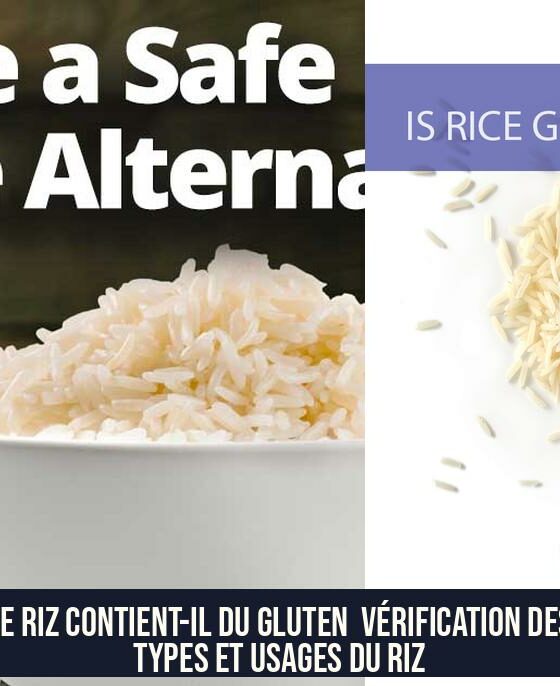 Le Riz Contient-il du Gluten Vérification des Types et Usages du Riz