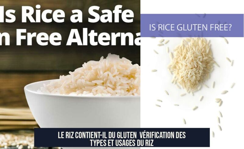 Le Riz Contient-il du Gluten Vérification des Types et Usages du Riz