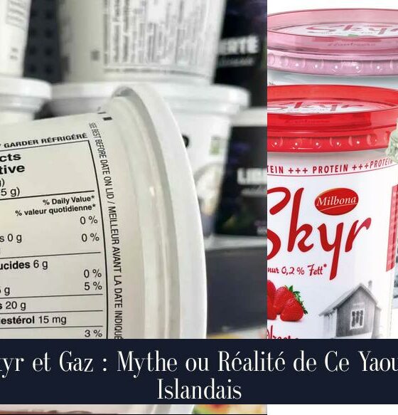 Skyr et Gaz : Mythe ou Réalité de Ce Yaourt Islandais