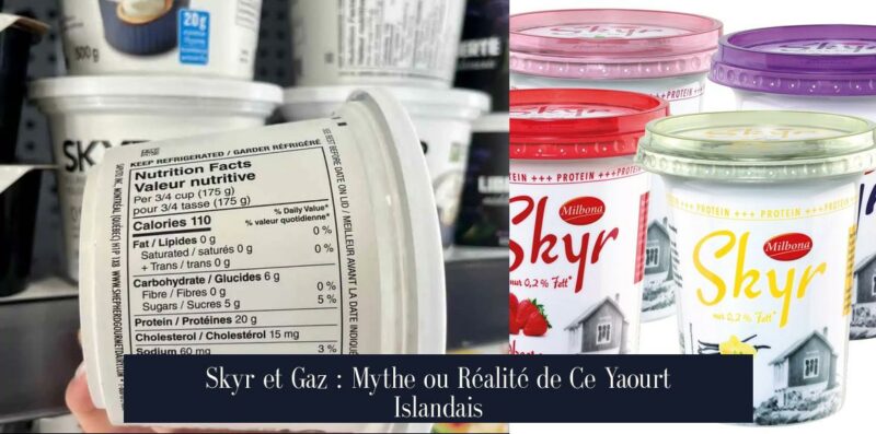 Skyr et Gaz : Mythe ou Réalité de Ce Yaourt Islandais