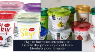 Skyr et bactéries intestinales : Le rôle des probiotiques et leurs bienfaits pour la santé