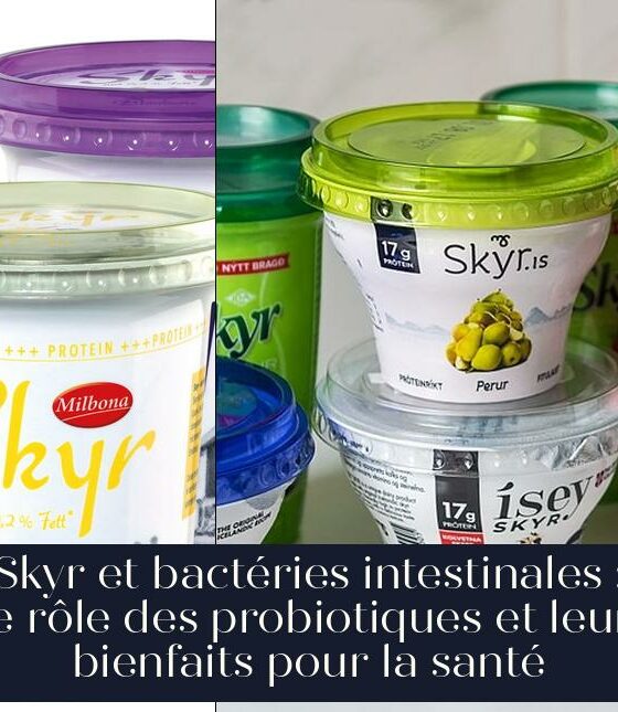 Skyr et bactéries intestinales : Le rôle des probiotiques et leurs bienfaits pour la santé