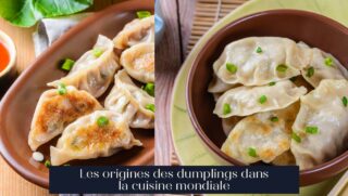 Les origines des dumplings dans la cuisine mondiale