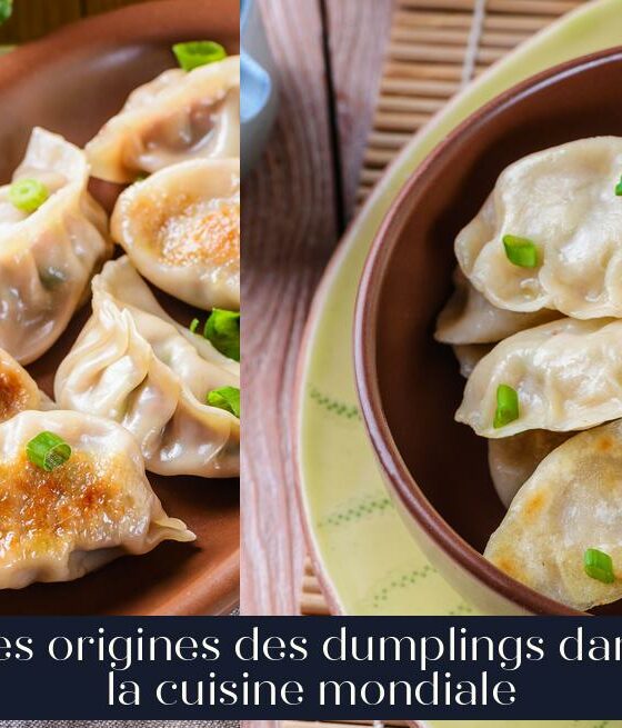 Les origines des dumplings dans la cuisine mondiale