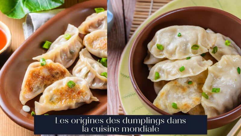Les origines des dumplings dans la cuisine mondiale