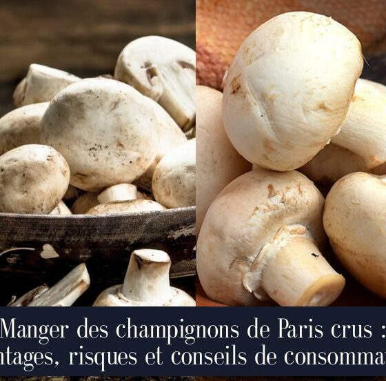 Manger des champignons de Paris crus : avantages, risques et conseils de consommation