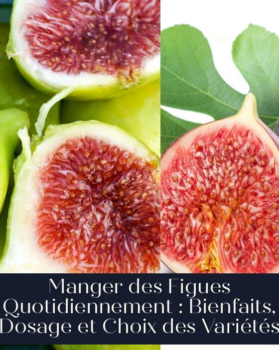 Manger des Figues Quotidiennement : Bienfaits, Dosage et Choix des Variétés