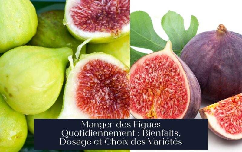 Manger des Figues Quotidiennement : Bienfaits, Dosage et Choix des Variétés