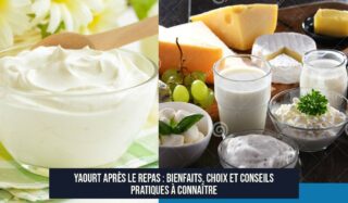 Yaourt après le repas : Bienfaits, choix et conseils pratiques à connaître