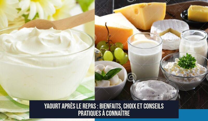 Yaourt après le repas : Bienfaits, choix et conseils pratiques à connaître
