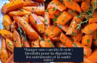 Manger une carotte le soir : bienfaits pour la digestion, les nutriments et la santé minci