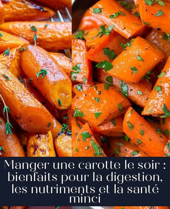 Manger une carotte le soir : bienfaits pour la digestion, les nutriments et la santé minci