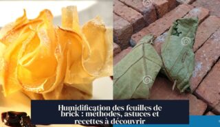 Humidification des feuilles de brick : méthodes, astuces et recettes à découvrir