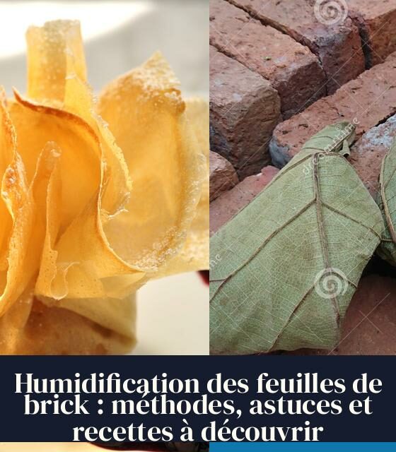 Humidification des feuilles de brick : méthodes, astuces et recettes à découvrir