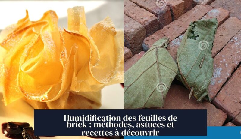 Humidification des feuilles de brick : méthodes, astuces et recettes à découvrir