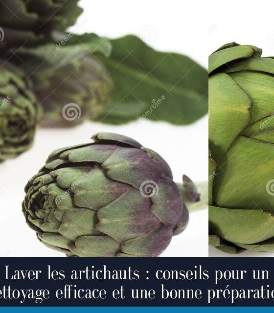 Laver les artichauts : conseils pour un nettoyage efficace et une bonne préparation