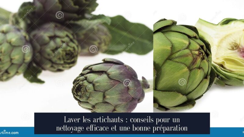 Laver les artichauts : conseils pour un nettoyage efficace et une bonne préparation