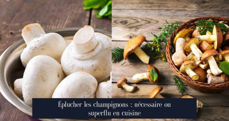 Éplucher les champignons : nécessaire ou superflu en cuisine