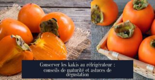 Conserver les kakis au réfrigérateur : conseils de maturité et astuces de dégustation