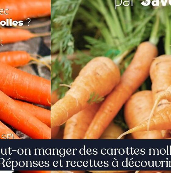 Peut-on manger des carottes molles Réponses et recettes à découvrir