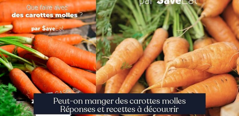 Peut-on manger des carottes molles Réponses et recettes à découvrir
