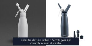 Chantifix dans un siphon : Secrets pour une chantilly réussie et durable