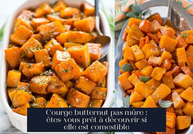 Courge butternut pas mûre : êtes-vous prêt à découvrir si elle est comestible