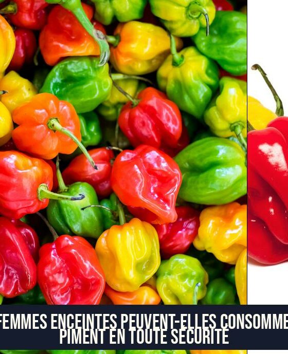 Les femmes enceintes peuvent-elles consommer du piment en toute sécurité