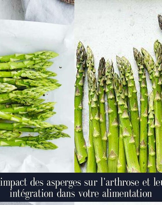 L'impact des asperges sur l'arthrose et leur intégration dans votre alimentation