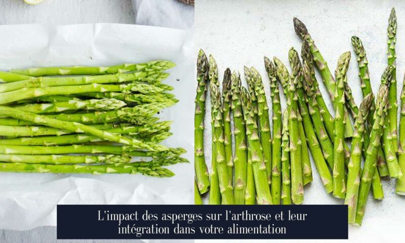 L'impact des asperges sur l'arthrose et leur intégration dans votre alimentation