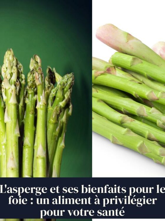 L'asperge et ses bienfaits pour le foie : un aliment à privilégier pour votre santé