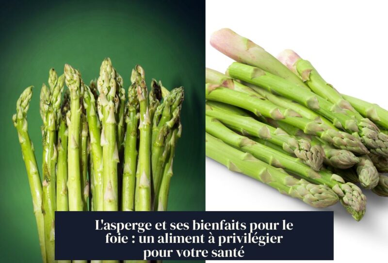 L'asperge et ses bienfaits pour le foie : un aliment à privilégier pour votre santé