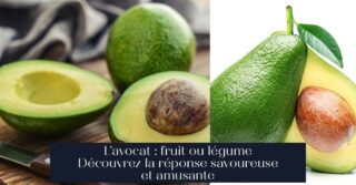 L'avocat : fruit ou légume Découvrez la réponse savoureuse et amusante