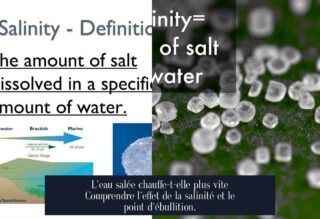 L'eau salée chauffe-t-elle plus vite Comprendre l'effet de la salinité et le point d'ébullition.